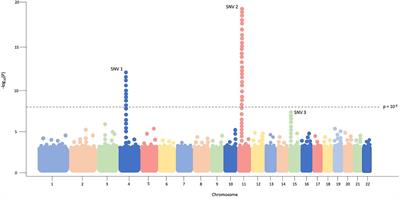 Searching Far and Genome-Wide: The Relevance of Association Studies in Amyotrophic Lateral Sclerosis